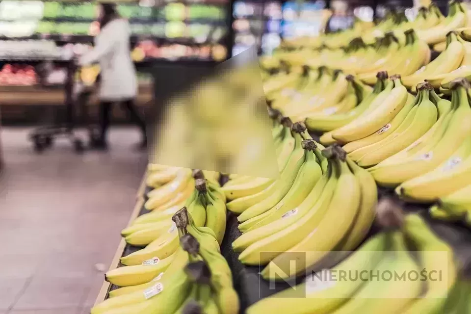 bananas-698608_960_720.png